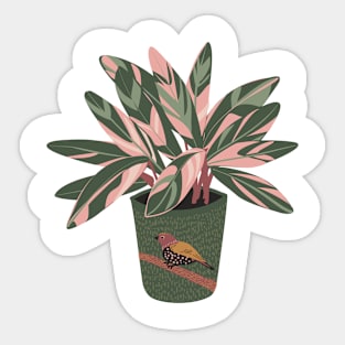 Stromanthe Houseplant Sticker